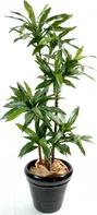 Vert Espace Dracena palma 95 cm