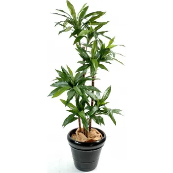 umělá květina Vert Espace Dracena palma 95 cm