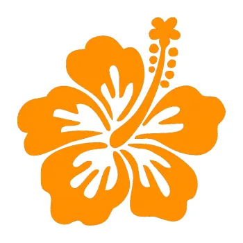 Samolepící dekorace Kytička 001 pravá ibišek (06 - oranžová) SAMOLEPKA NA AUTO, NÁLEPKA, FÓLIE, POLEP, TUNING, VLASTNÍ TEXT, TISK, AUTOSAMOLEPKY.cz, POLEPY, OBRÁZEK, LOGO, 3D STICKERS