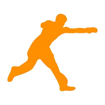 Polep vozidla Karate 004 pravá (06 - oranžová) SAMOLEPKA NA AUTO, NÁLEPKA, FÓLIE, POLEP, TUNING, VLASTNÍ TEXT, TISK, AUTOSAMOLEPKY.cz, POLEPY, OBRÁZEK, LOGO, 3D STICKERS