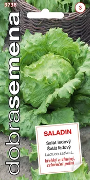 semena Dobrá semena Saladin salát ledový celoroční 0,6 g
