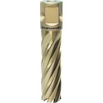 Vrták Jádrový vrták Ø 12-60 mm Karnasch GOLD-LINE 55