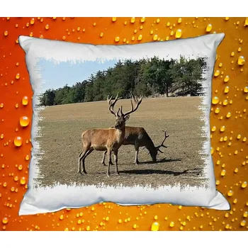 Dekorativní polštářek Polštářek pro myslivce 7
