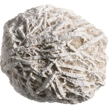 Sádrovec, růže 26 mm