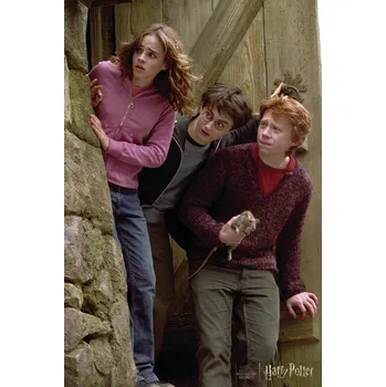 Plakát Plakát, Obraz - Harry Potter - Famous trio