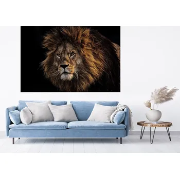 Samolepící dekorace Lví hlava samolepka na zeď 100 x 67 cm