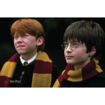 Plakát Plakát, Obraz - Harry Potter and Ron Weasley