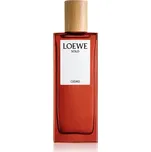 Loewe Solo Cedro toaletní voda pro muže 50 ml