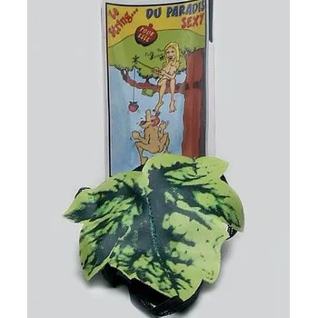 Žertovný předmět Tanga Eva