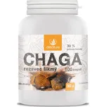 Allnature Chaga Rezavec šikmý kapsle pro podporu imunitního systému 100 cps