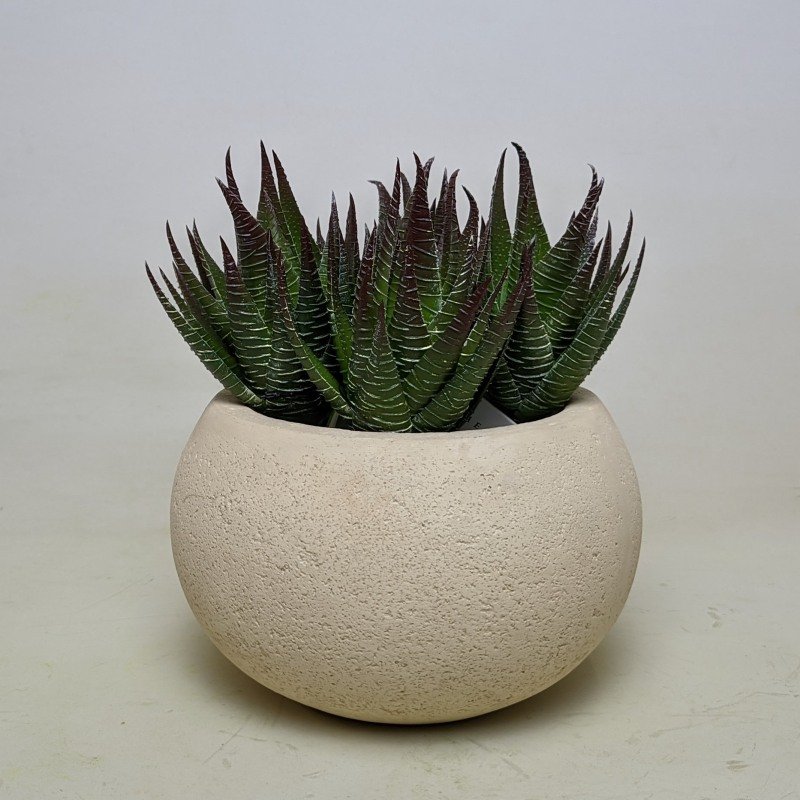 Umělý sukulent Haworthia zelená 15cm - Stín