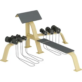 InterAtletika venkovní Scottova lavice s lavicí na bench a jednoručkami