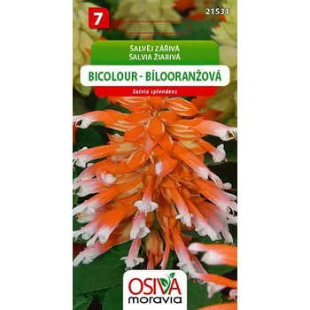 Semeno Osiva Moravia Šalvěj zářívá bílooranžová 0,1 g