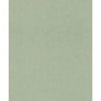 Tapeta Vliesová tapeta 484588 jednobarevná zelená / Tapety na zeď Florentine III (0,53 x 10,05 m) Rasch