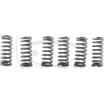 Auto-moto Sada spojkových pružin EBC CSK210 6