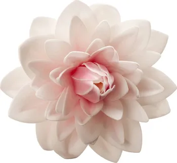 Jedlá dekorace na dort Dekora Jedlý cukrový obří květ jiřina bílá/růžová 12,5 cm