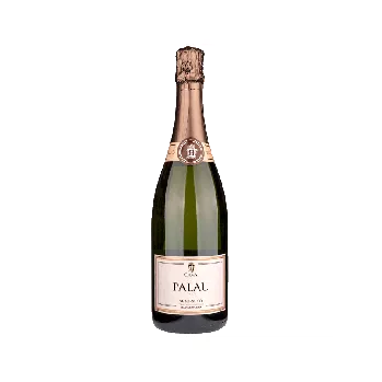 Víno Cava Palau Semi-seco
