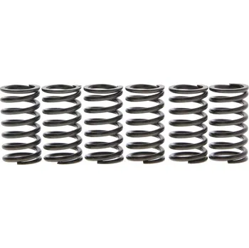 Sada spojkových pružin MR3 HONDA CRF 150 RB rok 07-16