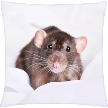 Polštář Polštář ANIMAL 23 - POTKAN Mybesthome 40x40 cm Varianta: Povlak na polštář s prošívanou výplní, 40x40 cm