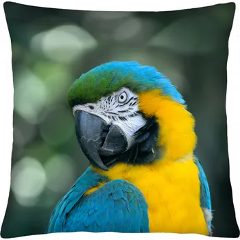 Polštář Polštář animal 66 PAPOUŠEK ARA Mybesthome 40x40 cm Varianta: Povlak na polštář s prošívanou výplní, 40x40 cm
