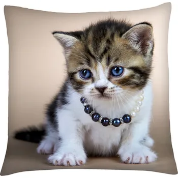 Polštář Polštář s motivem kočky 07, béžová, Mybesthome 40x40 cm Varianta: Povlak na polštář, 40x40 cm