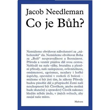 Co je Bůh? - Jacob Needleman