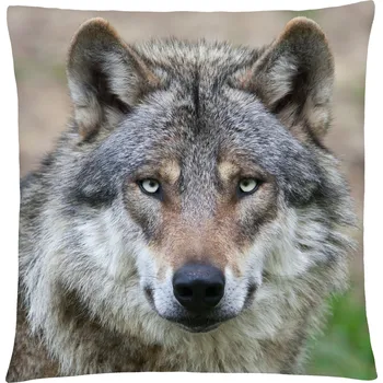 Polštář Polštář s vlkem 24 Mybesthome 40x40 cm Varianta: Povlak na polštář s prošívanou výplní, 40x40 cm