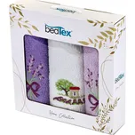 BedTex Dárková sada froté ručníků 3 ks…