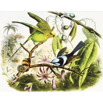 Fototapeta Fototapeta vliesová Ptáček 2 340x254 cm