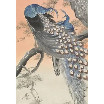 Fototapeta Fototapeta vliesová Japonský páv 194x280 cm