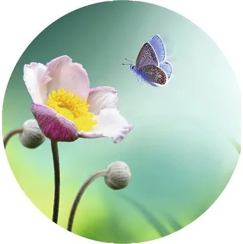 Fototapeta Fototapeta vliesová květ 95 cm