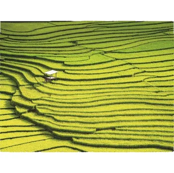 Fototapeta Fototapeta vliesová Thajsko 243x184 cm