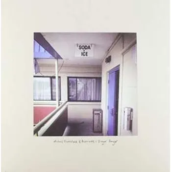 Zahraniční hudba LP Michael Feuerstack: Singer Songer LTD | CLR 2014 Blue Translucent Vinyl Limited Edition