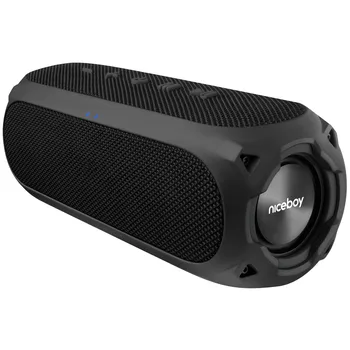 Bluetooth reproduktor Niceboy Raze 3 Radion
