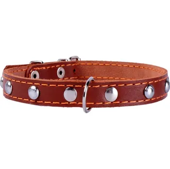 Obojek pro psa Kožený obojek s kovovou dekorací dvouvrstvý hnědý. Obvod krku: délka: 27-35 cm,	širka: 14 mm