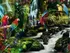 Puzzle Ravensburger Barevní papoušci v džungli 2000 dílků