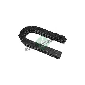 Motor automobilu Rozvodový řetěz INA (IN 553027010)