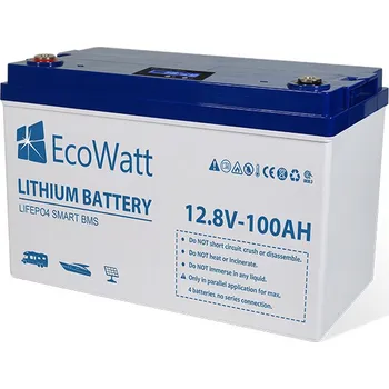 EcoWatt ECO-12-100