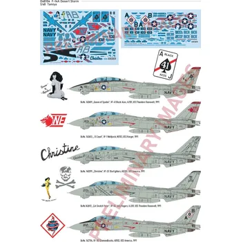 Eduard 1/48 F-14A Desert Storm (TAMIYA)