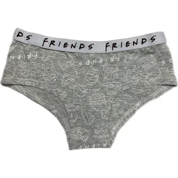 Dívčí spodní prádlo Eplus Dívčí spodní prádlo Friends - Přátelé šedé Velikost - děti: 122/128