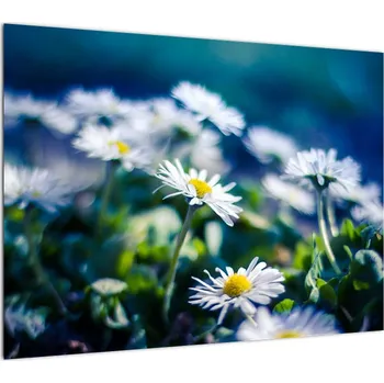 Obraz LuxusniObrazy.cz Obraz sedmikrásek