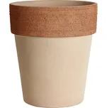 Piskáček Praha Kvetinac Alto, pr.40cm, Graffiato