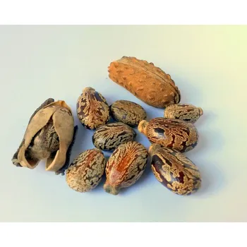 Rostlinný olej Ricínový olej LZS Množství: 120 ml