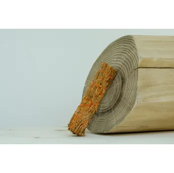 Čajovna Šalvěj Modrá + Palo Santo (Kalifornie), vykuřovací svazek Mini - 10 cm