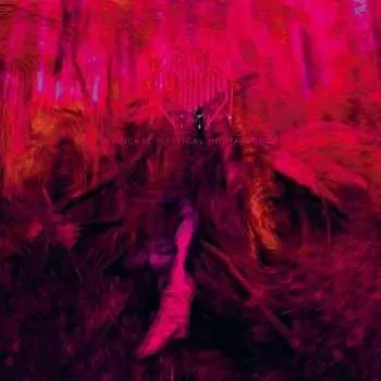 Zahraniční hudba CD Rebel Wizard: Magickal Mystical Indifference 2020