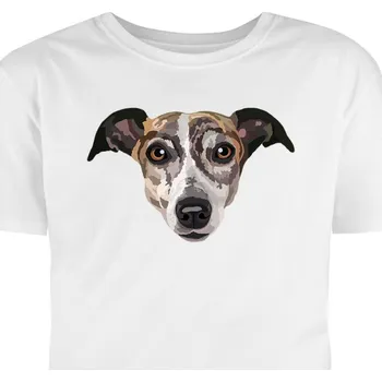 Pánské tričko Hütermann Tričko s potiskem: Vipet