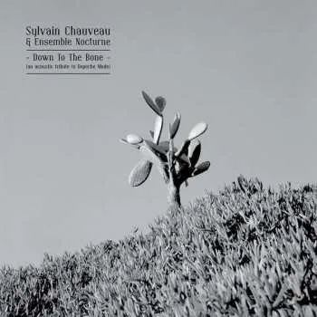 Zahraniční hudba LP Sylvain Chauveau: Down To The Bone 2020 An Acoustic Tribute To Depeche Mode Vinyl