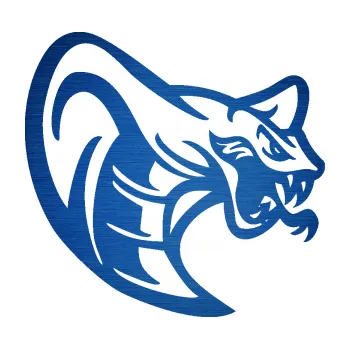 Samolepící dekorace SAMOLEPKA Cobra 007 pravá (65 - škrábaný kov modrý) NA AUTO, NÁLEPKA, FÓLIE, POLEP, TUNING, VLASTNÍ TEXT, TISK, AUTOSAMOLEPKY.cz, POLEPY, OBRÁZEK, LOGO, SAMOLEPKY