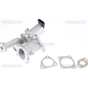 Ventil palivového systému AGR-Ventil TRISCAN 8813 24101