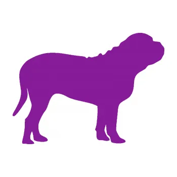 Polep vozidla SAMOLEPKA Pes 170 pravá Bordeauxská doga (14 - fialová) NA AUTO, NÁLEPKA, FÓLIE, POLEP, TUNING, VLASTNÍ TEXT, TISK, AUTOSAMOLEPKY.cz, POLEPY, OBRÁZEK, LOGO, SAMOLEPKY